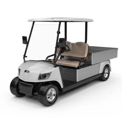 Automotivo estilo elegante 48V bateria para operar veículo utilitário elétrico carro de golfe com dois assentos para campos de golfe (DG-M2 + caixa de carga)